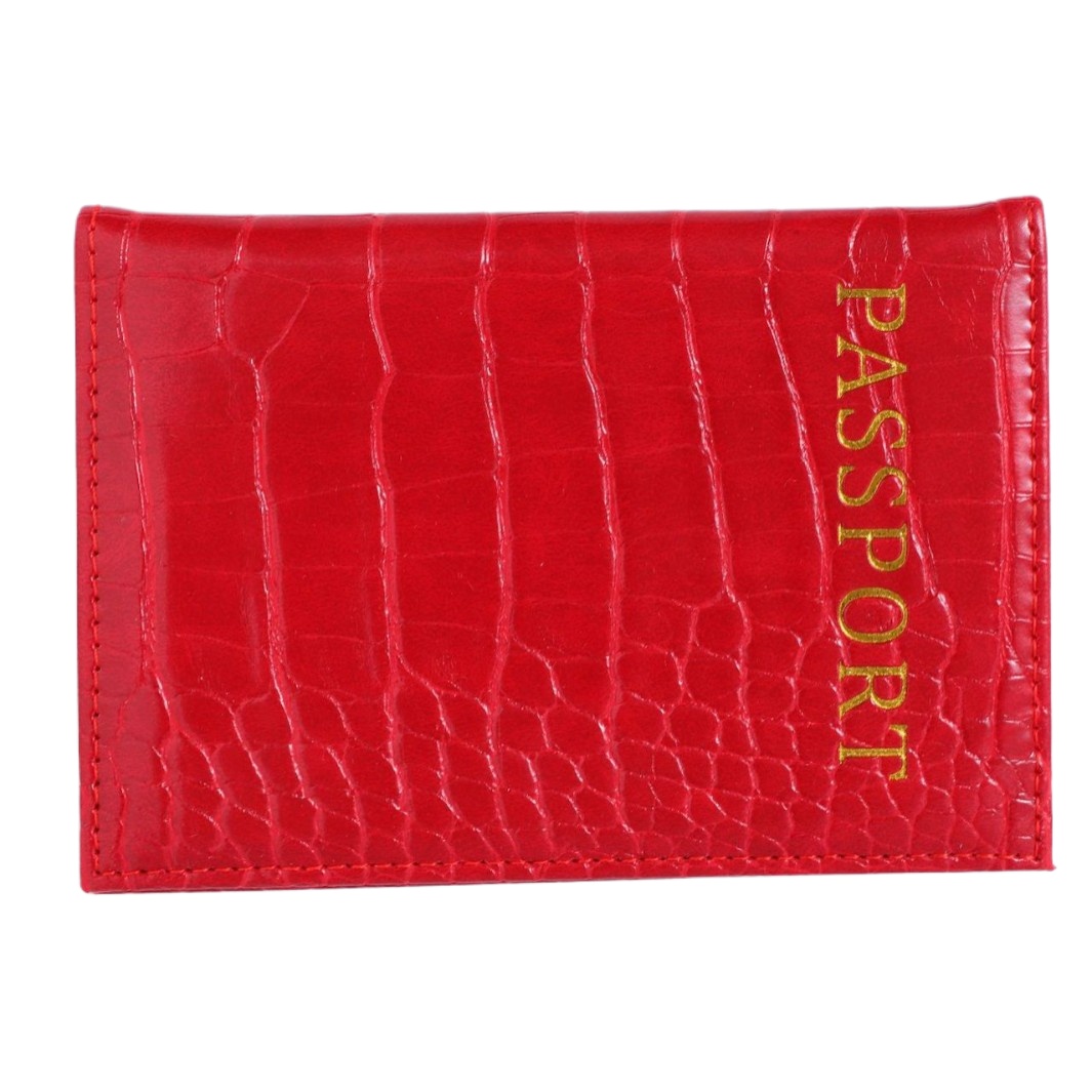 Porta Passaporto con Motivo Co - Travel Accessories Plane recensione e prezzo